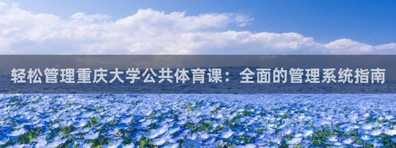 必一体育网页登陆：轻