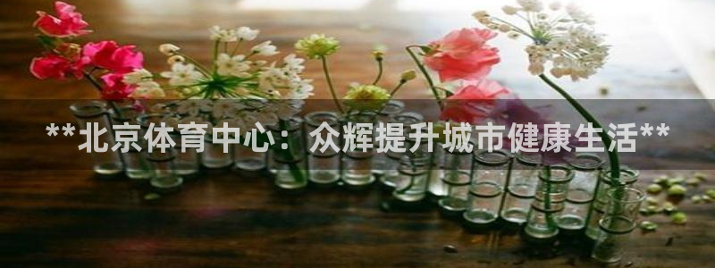 必一运动 b 体育素