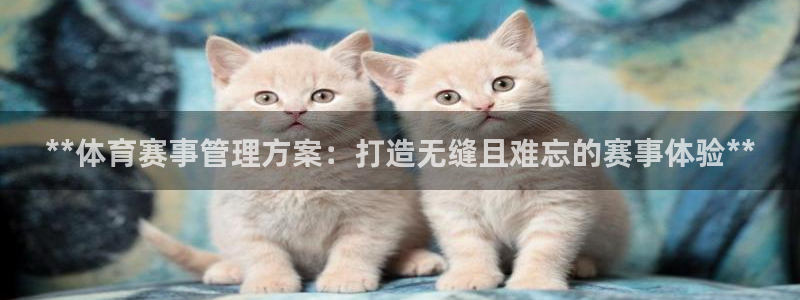 必一体育网页版登录：