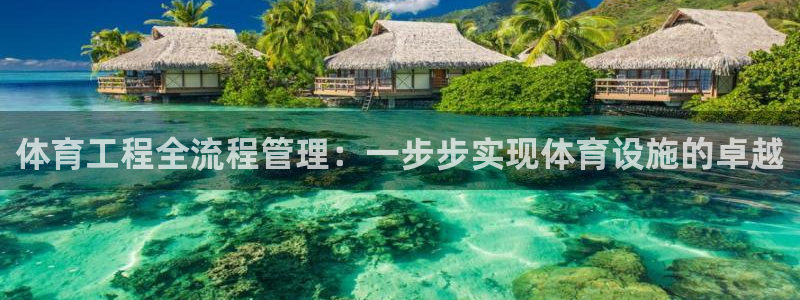 必一体育电子app：