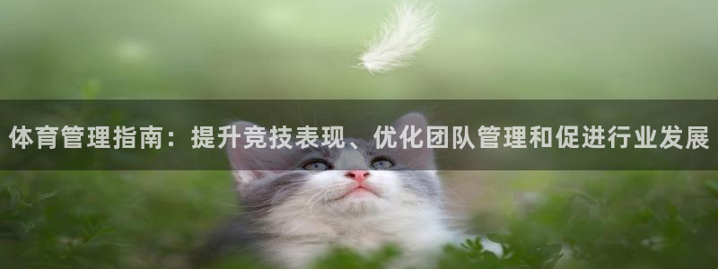 必一运动官网入口：体