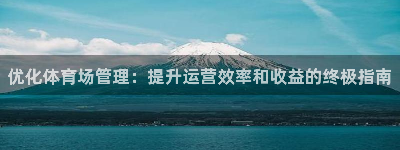 必一体育网页：优化体