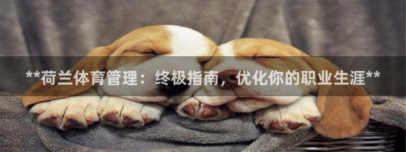 必一体育黑平台：**