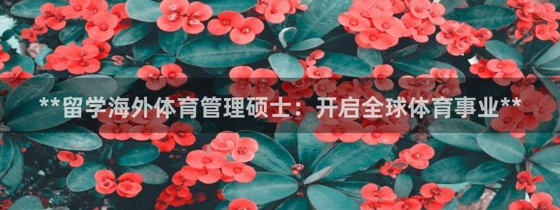 必一运动·(b-sp