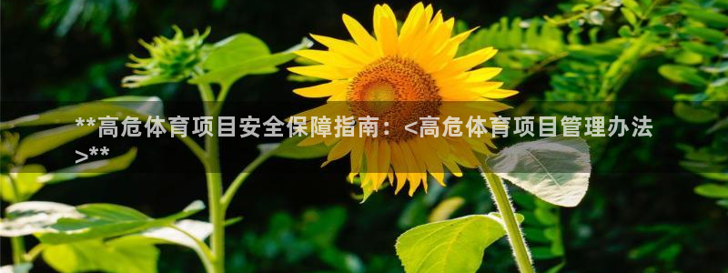 必一体育官方下载入口