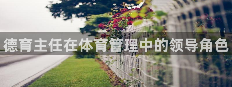 必一体育能提现大金额