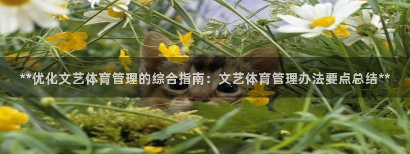 必一体育sportB