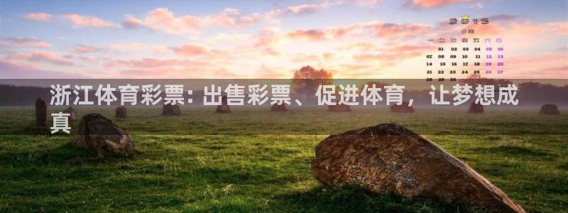 必一体育官网网站：浙
