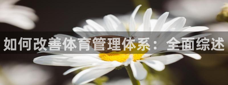必一体育APP下载安
