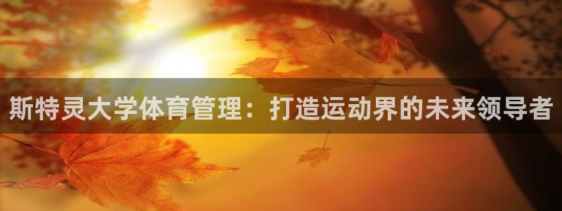 必一体育游戏玩法：斯