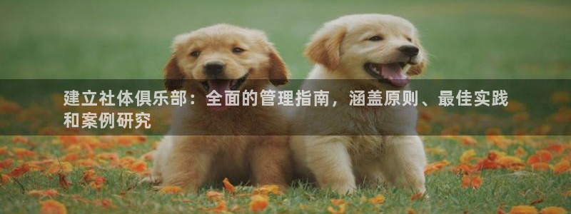 必一体育app官方：