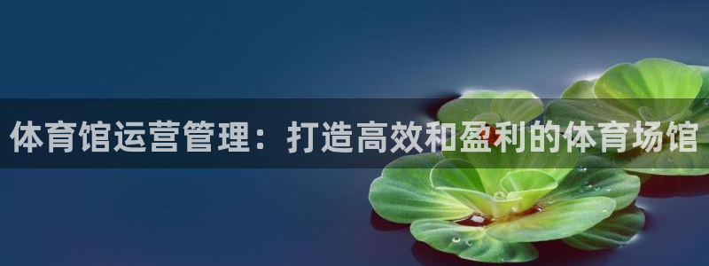 必一运动 b 体育素