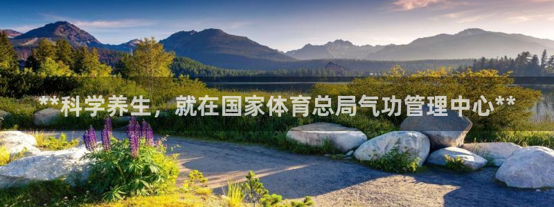 必一体育官网入口：*