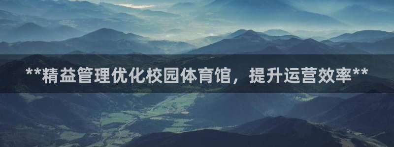 必一体育网站：**精