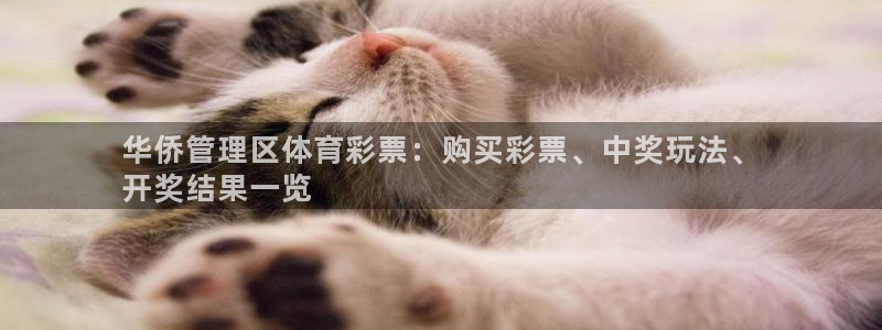 必一体育最新官网入口