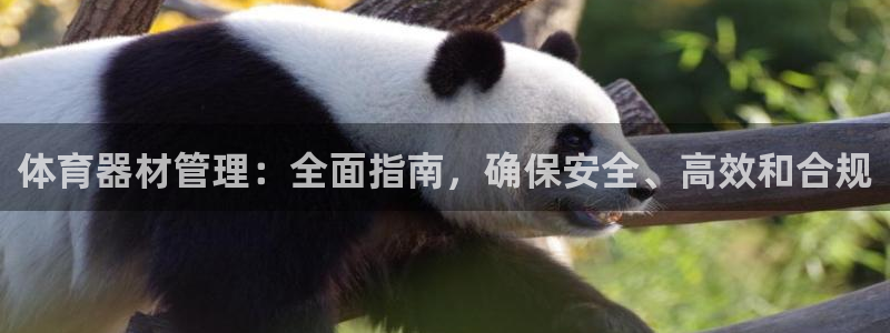 必一运动体育官网：体