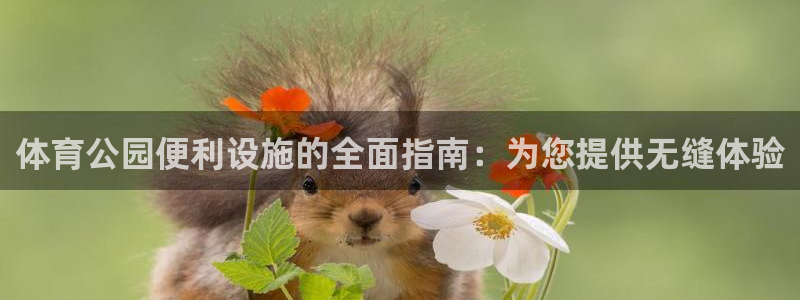 必一体育服下载最新版
