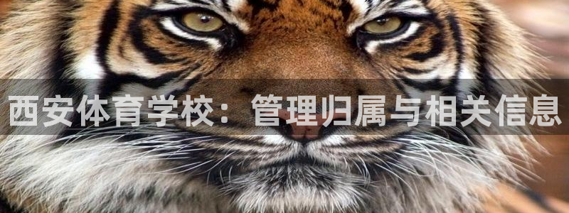必一运动sport网