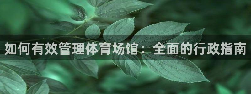 必一体育下载app：