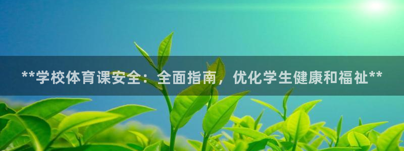 必一体育sport下