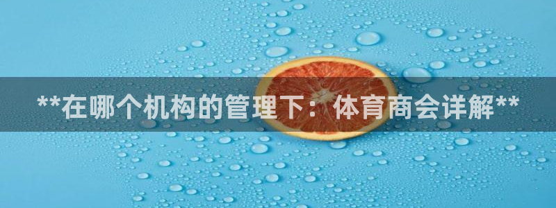 必一体育sport网