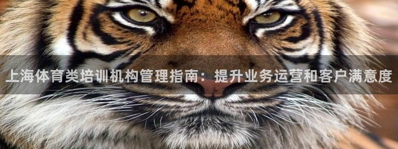 b体育必一运动网页版
