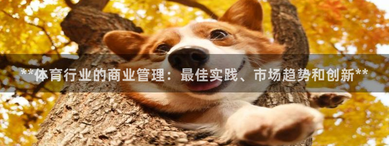 必一体育游戏玩法：*