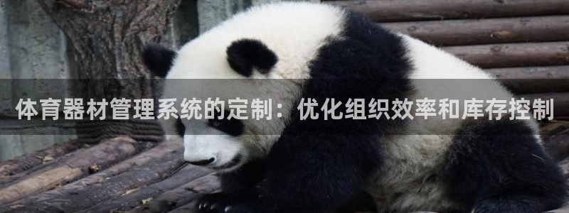 必一体育电子app：
