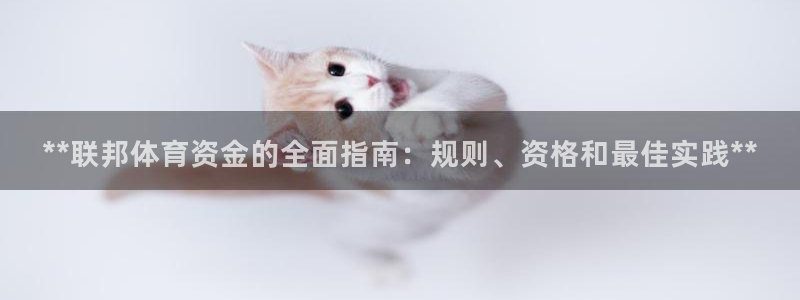 必一体育官方网站入口