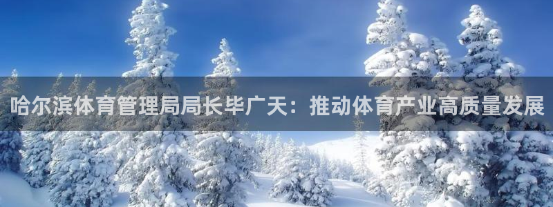 必一体育sport网