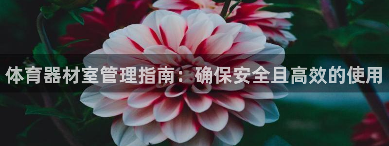 必一体育bsport