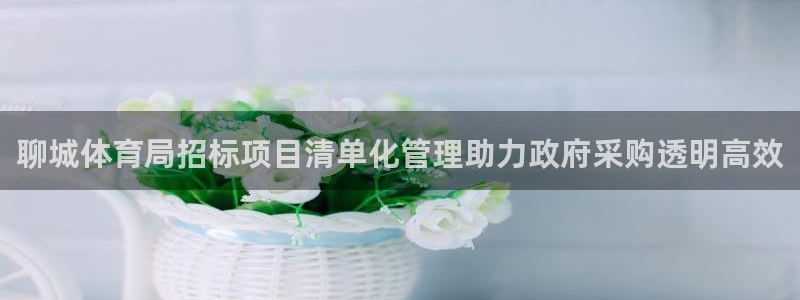 必一体育官方app下