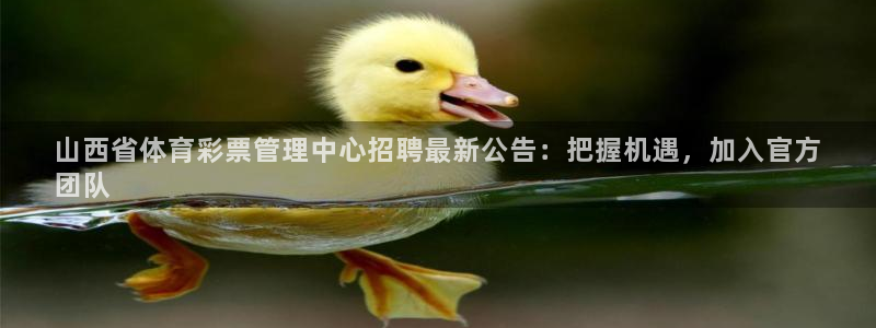 必一体育平台：山西省