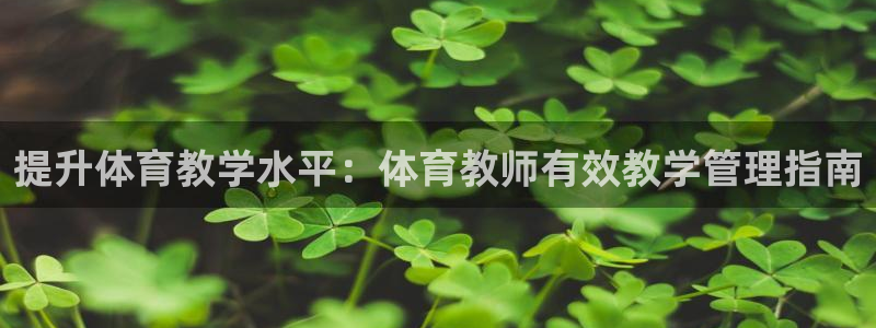必一体育服下载最新版