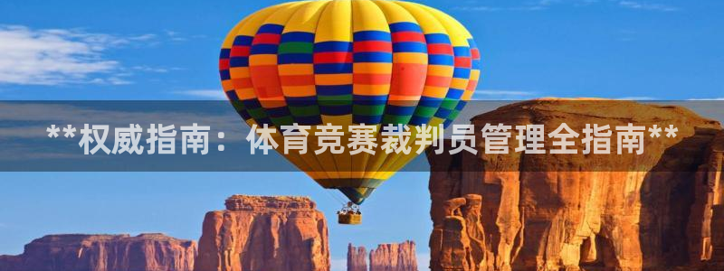 必一体育手机下载：*