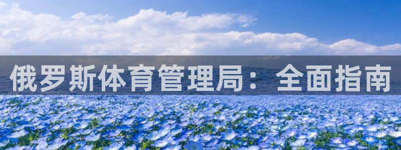 必一运动sport网