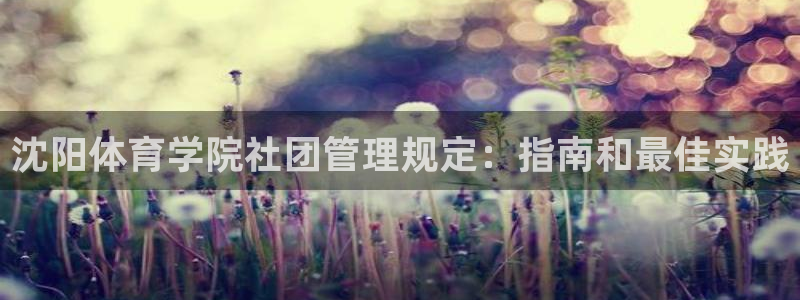 必一运动体育官网：沈