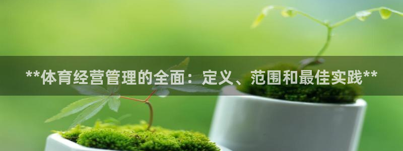 必一体育下载意思：*