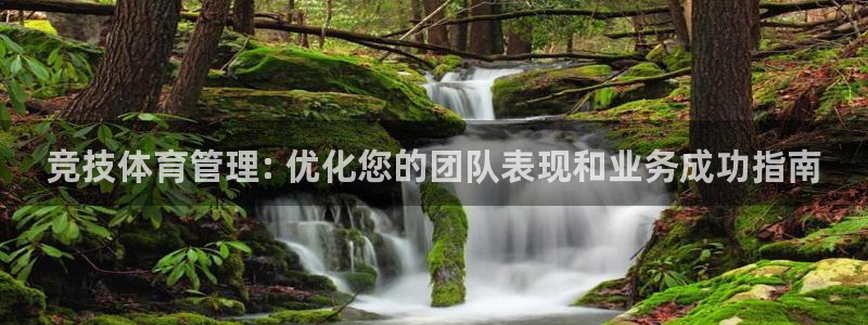 必一体育在线玩：竞技