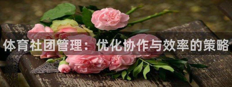 必一体育sportB