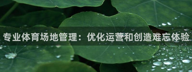 必一体育网站：专业体