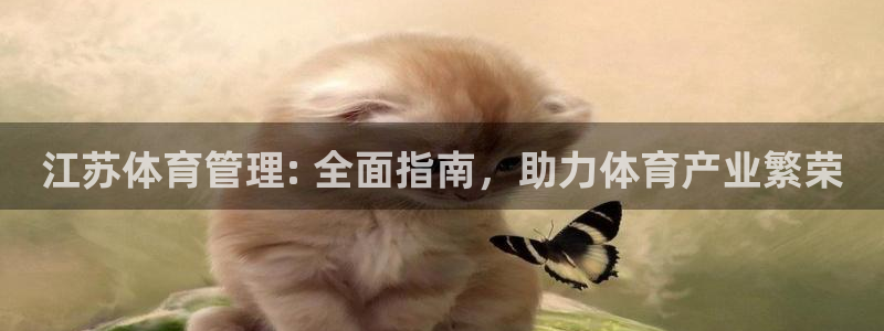 必一体育在哪下：江苏