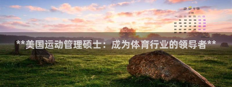 必一体育网站：**美