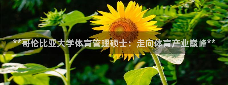 必一体育官网入口：*