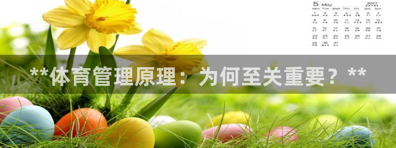 必一运动体育官网下载