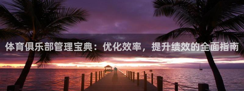 必一体育官方网站入口
