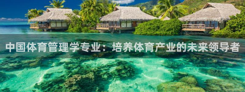 必一体育app下载最