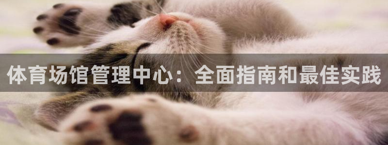 必一运动体育app：