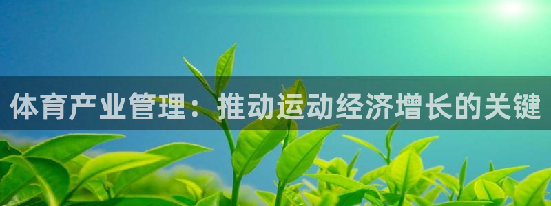 必一体育登录入口AP