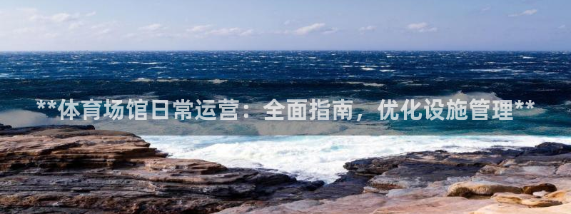 必一体育sport官